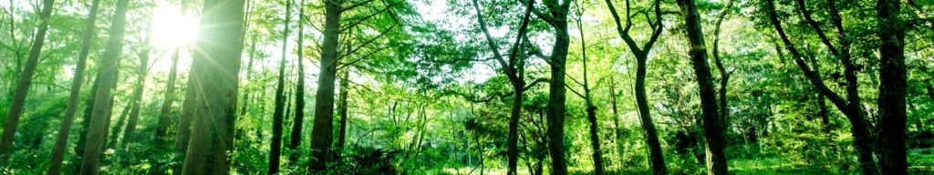 会社概要 株式会社後藤